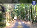 【けんけん動画】山口県道59号線（その3/12）《美和町日宛（ひなた）》