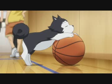 【黒バス】HSKこと高尾和成がカタルリズムを歌ってみた【OLDCODEX】