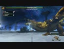 【MH3G】 効率狩 月下の夜会 手順解説 ｻﾎﾟ視点