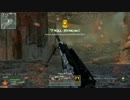 【PC】CoD:MW2 マルチ22 Wasteland