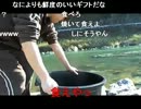 【金バエ】極寒の川渡り配信【伝説の】