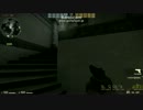 csgo 片葉の部屋　お試し