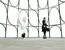 【MMD】骸さんと白蘭さんでSpring Shower【REBORN!】