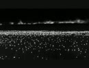 カラオケで「Crossing Field」歌ってきた。