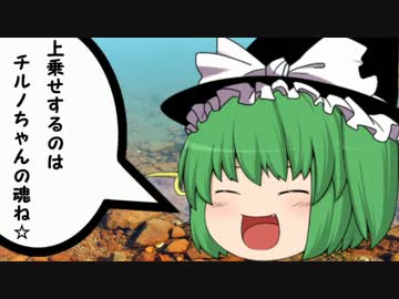 【BW2】大チルテーマパバトル！~大チル・ザ・ギャンブラー~