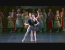 Swan Lake - Black Swan - Teatro alla Scala 2004