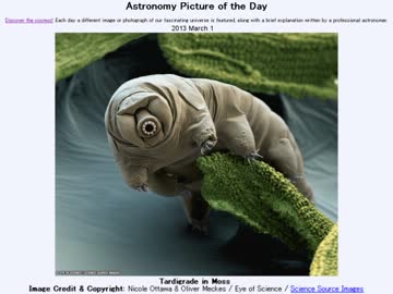 3月6日｢苔の中のクマムシ｣-Astronomy Picture of the Day