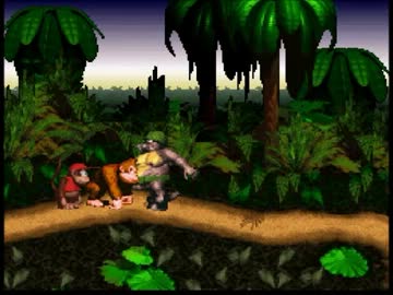 ドンキー1　メタボの中年男性のダイエットにTASさんが協力するようです