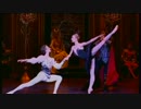 Swan Lake - Black Swan - St. Petersburg Ballet Theatre 2006