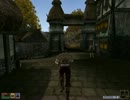 【Vvardenfellで】拳で語るMorrowind　Part73【武者修行】
