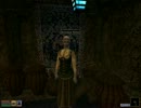 【Vvardenfellで】拳で語るMorrowind　Part74【武者修行】