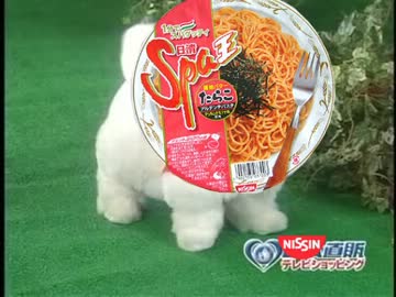 日清直販 アルデンテロボ「スパ王」