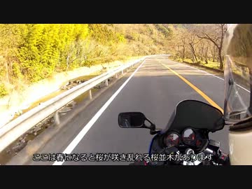 【車載動画】そうだプチツーへ行こう 静岡県道190号線