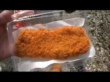 トンカツライス弁当