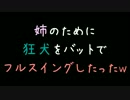 姉のために狂犬をバットでフルスイングしたったｗ【2ch】