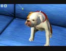 【Sims3】きのこうどん脱走兵のシムズ３ Part45
