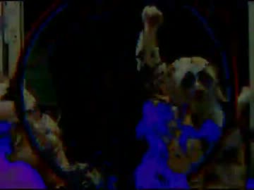 完全勝利した中２病淫夢くん