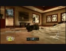 ぼっちの僕がCOD:BO2をLSATで【FFA】 19