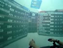 0309 TB66 パイの実 1325-2