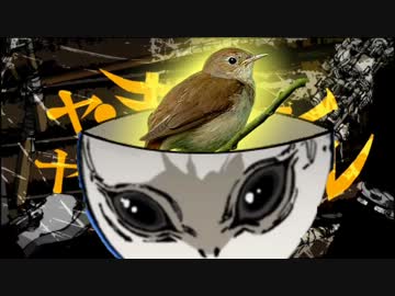 【口笛】ヤンキーボーイ・ヤンキーガール☆ウグイスが【吹いてみた】