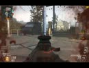 【CoD:BO2】T-sukeがCoD:BO2を実況プレイ 35【AK系統の末っ子AN-94】