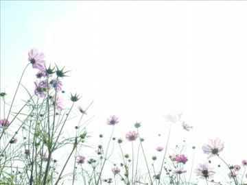 【自作曲】 Hdklab - Veil 【Piano House / Progressive】