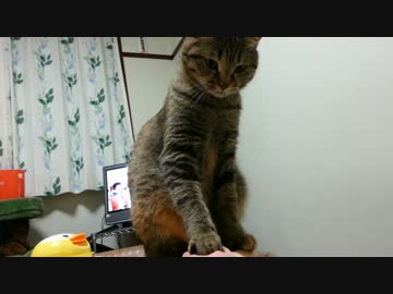 やだ...やめて...やめろ...やめろっつってんだろぉお