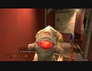 【HALF-LIFE2 －ハーフライフ２－】　先導実況　０３