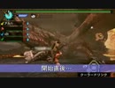 【MHP3】裸で狩猟！ 乙プレイ集 16