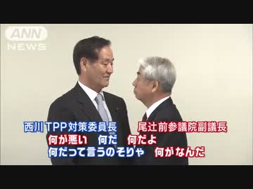 [TPP] 西川議員と尾辻議員がブチギレ大喧嘩!!!  西田議員が友情出演