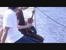【ニコカラ】　　　　ギンガムチェック　　　AKB４８　　【カラオケ】