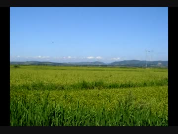 【 ピアノ】Summer【オリジナル】