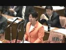 2013年03月12日【衆議院】予算委員会 小宮山泰子(生活の党)集中審議