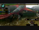 【実況】狩猟しちゃうぞ！part１３【MHP３】