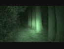 心霊スポット『ライト縛り』実況　雄蛇ヶ池編 3/3