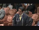 2013年03月13日【衆議院】予算委員会 西田譲(日維新)
