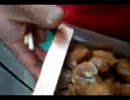 ほっともっと　チキンバスケット　650円　ですよ