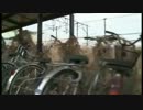 外国のメディアが伝えた 「福島の今」
