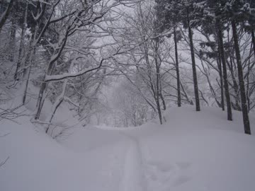 ゆっくり実況で石川県旅行(?)　2月の医王山