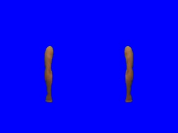 ‮4pm.BB腕の輩先獣野