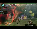 【MHP3】裸で狩猟！ 乙プレイ集 17