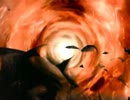 【音MAD】vanmilion.mp4