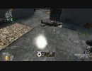 【bo2】cherryの新たなる挑戦