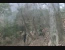 130224svg002.wmv