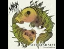 SETE STAR SEPT - Pale of acceptable