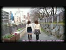 【水玉効果。】キップル・インダストリー【踊ってみた】