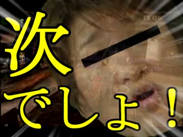 【実況】最低限文化的な狩りをするモンスターハンター #11【MHP2G】