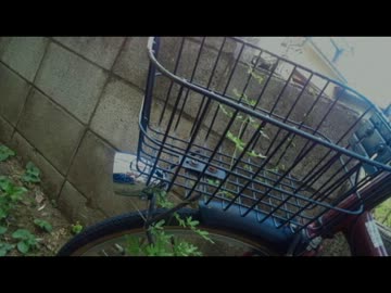 【悪魔のツイッター】世界一愛された雑草のお話１【まとめ】