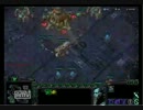 【StarCraft2】タートルプロトスとは無慈悲なり【Terran】