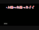 【ゲーム実況】いい加減姫をさらうの諦めない？【Part4】